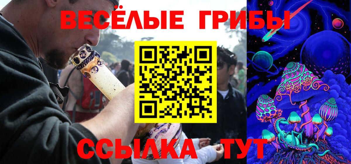 Псилоцибиновые грибы GOLDEN TEACHER Петропавловск-Камчатский